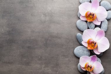 Spa orkide Tema nesneleri gri arka plan üzerinde.