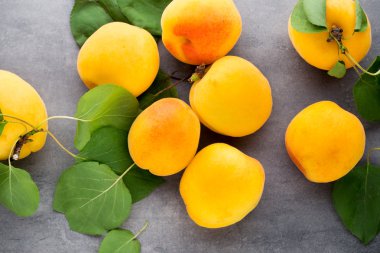 eski ahşap tablo yaprakları ile kayısı.