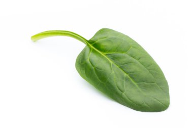 Ispanak izole beyaz.