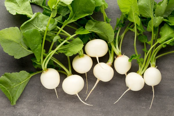 Rettich frisch auf dem grauen Hintergrund. — Stockfoto