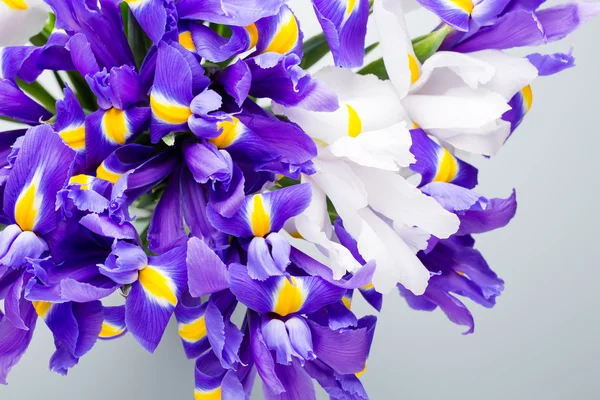 Iris Blumen Hintergrund, Frühling Blumenmuster. — Stockfoto