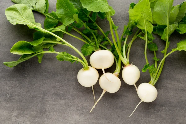 Rettich frisch auf dem grauen Hintergrund. — Stockfoto