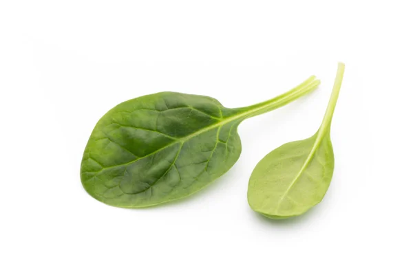 Spinach on the isolated white. — Stock Photo, Image