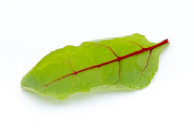 Beyaz arkaplanda izole edilmiş taze yaprak pancar kökü.