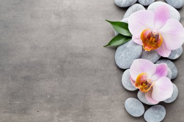 Spa orkide Tema nesneleri gri arka plan üzerinde.