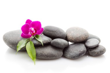 Spa taşlar. Spa Masaj taşlar ve beyaz arka plan üzerinde izole orkide.