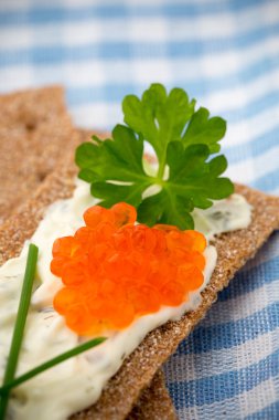 Crispbread otlar ve pastırma ile yumuşak peynir ile.