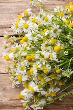 Gerbera. Gerbera çiçek vazo, izole beyaz arka plan üzerinde.