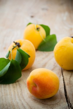 Tahta masada taze kayısılar..