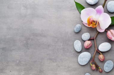 Spa orkide Tema nesneleri gri arka plan üzerinde.
