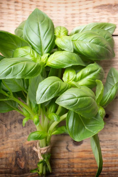 Basil in the vegetable. — Stock Photo, Image