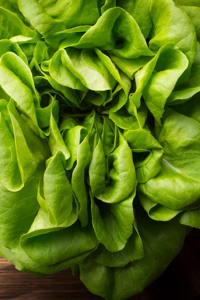 Salată verde. Legume. produse alimentare — Fotografie, imagine de stoc