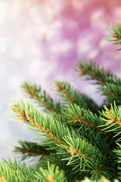 Decoração de Natal. Decoração de Natal no fundo de madeira . — Fotografia de Stock