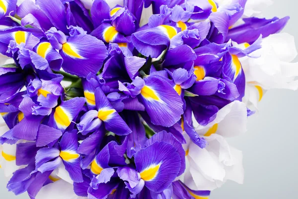 Iris bloemen achtergrond, lente bloemen patroon. — Stockfoto