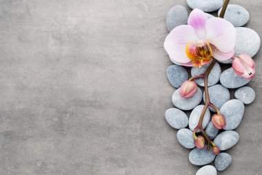Spa orkide Tema nesneleri gri arka plan üzerinde.