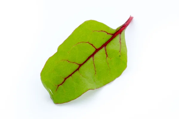 Čerstvé listy řepa kořen izolované na bílém pozadí. — Stock fotografie