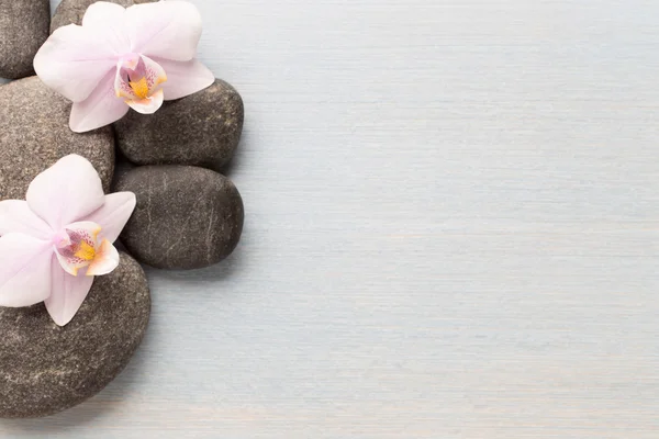 Orchid. Orchid flower on wooden background with spa stones. — Stock Photo, Image