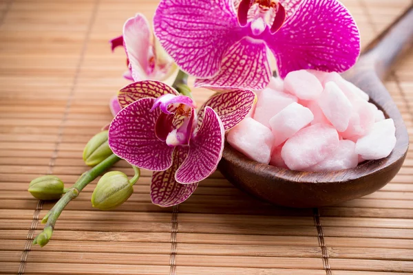 Orchid. Orchid flower on wooden background with spa stones. — Stock Photo, Image