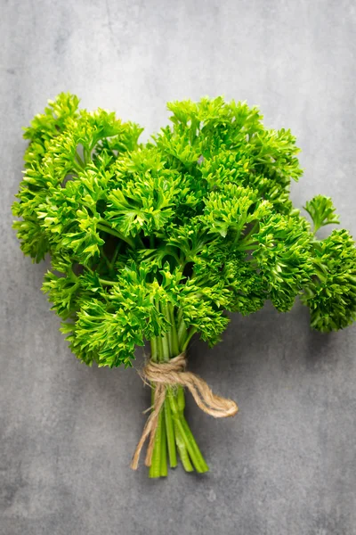 Salsa verde e fresca na superfície de metal cinzento. — Fotografia de Stock