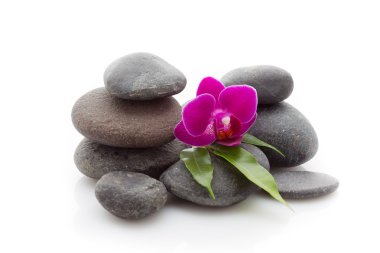 Spa taşlar. Spa Masaj taşlar ve beyaz arka plan üzerinde izole orkide.