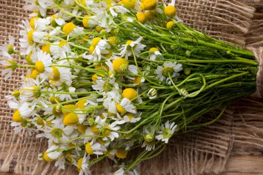 Spa taşlar. Spa Masaj taşlar ve beyaz arka plan üzerinde izole orkide.