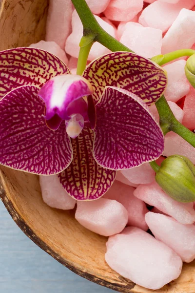 Sal marina. Sal marina sobre fondo de madera con flor de orquídea . — Foto de Stock