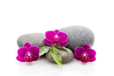 Spa taşlar. Spa Masaj taşlar ve beyaz arka plan üzerinde izole orkide.