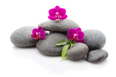 Spa taşlar. Spa Masaj taşlar ve beyaz arka plan üzerinde izole orkide.