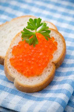 Ekmek. Ahşap arka plan üzerinde haşhaş tohumu ile taze pişmiş ekmek.