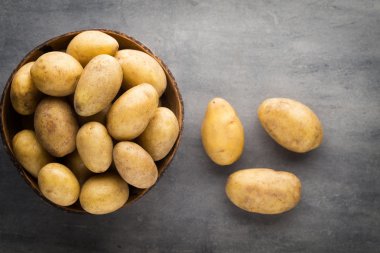 Kase, gri arka plan üzerinde yeni patates.