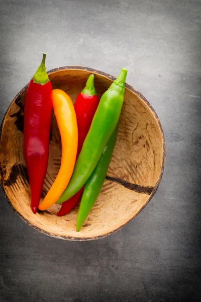 stock image Chilli pepper on the grey background.