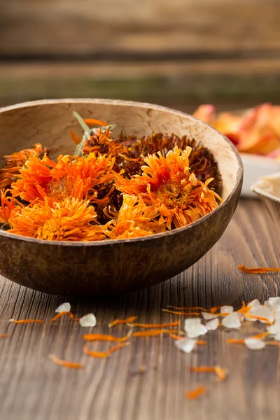 Calendula homeopatiska. Homeopatisk medicin, calendula torra blommor och träytan. — Stockfoto