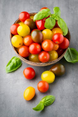 Domates gri bir arka plan. Renkli domates, kırmızı domates, siz