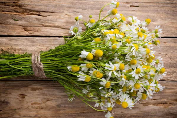 Camomilla. Fiori di camomilla su uno sfondo di legno. Studio fotografia . — Foto Stock