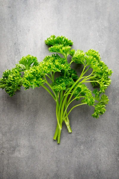 Fresh tied parsley on gray surface. — Stock Photo, Image