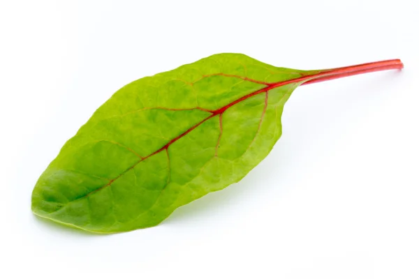 Raiz fresca de beterraba foliar isolada sobre fundo branco. — Fotografia de Stock