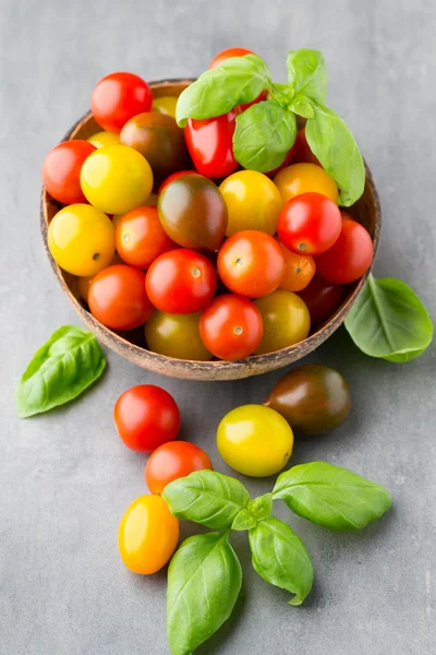 Tomaten vor grauem Hintergrund. bunte Tomaten, rote Tomaten, ihr — Stockfoto