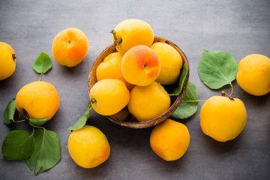 Gri bir metal zemin üzerine kayısı.