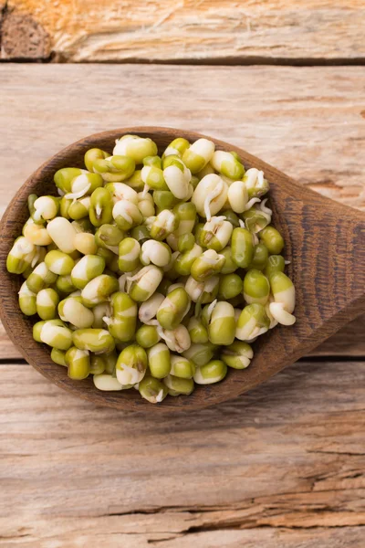 Sprouts. Sprouts to the heart of the bowl and on a wooden table. — Stock Photo, Image