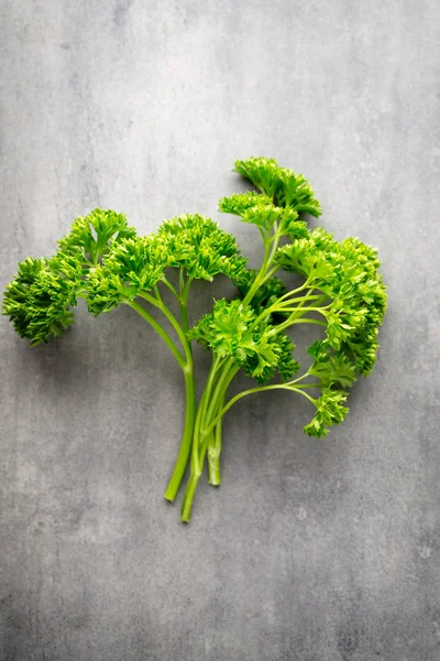 Fresh tied parsley on gray surface. — Stock Photo, Image