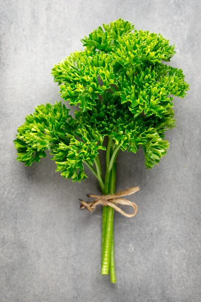 Salsa verde e fresca na superfície de metal cinzento. — Fotografia de Stock