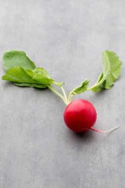 Gri arka planda taze turp..