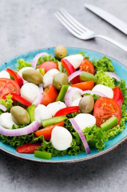 Taze sebze salatası. Caprese. Caprese salatası. İtalyan salatası. Akdeniz salatası. İtalyan mutfağı.