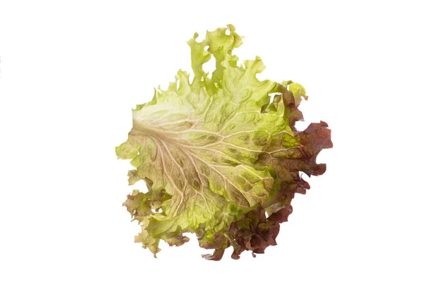 Beyaz Arkaplanda Izole Edilmiş Salata — Stok fotoğraf