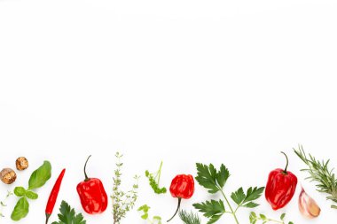 Baharatlı bitkisel yapraklar ve beyaz arka planda kırmızı biber. Sebze deseni. Çiçekler ve sebzeler beyaz arka planda. Üst manzara, düz uzanma.