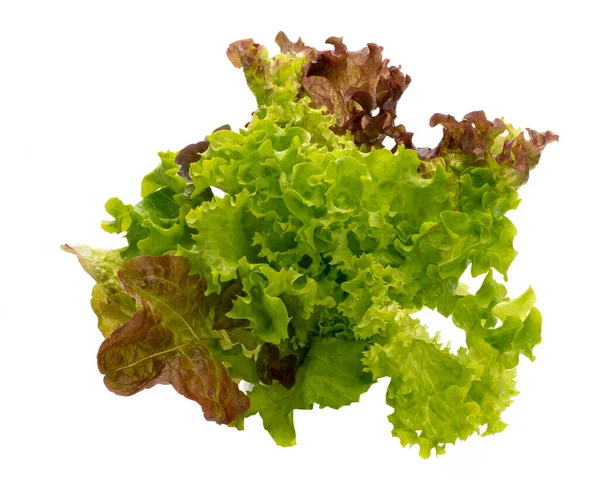 Salad Isolated White Background — Stock Photo, Image