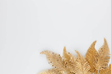  Mavi arka planda altın palmiye yaprağı. Palmiye yaprağı, düz ve üst görünüm.