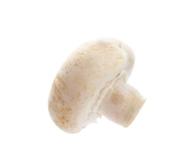 Champignon Izolowany Białym Tle — Zdjęcie stockowe