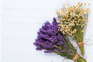 Lavanta çiçekleri beyaz arkaplanda izole edilmiş..