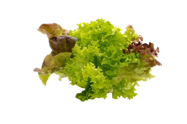 Saláta Elszigetelt Fehér Alapon — Stock Fotó